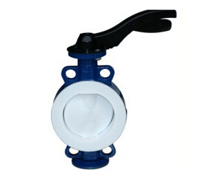 草莓破解版下载