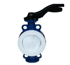 草莓破解版下载