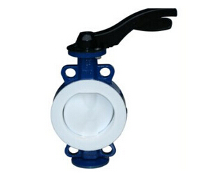 草莓破解版下载