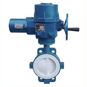 永嘉草莓视频色板APP下载厂家衬氟耐腐阀门简介