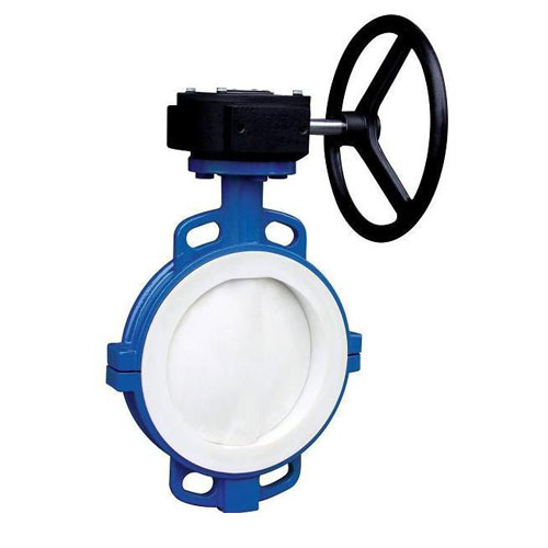 草莓破解版下载的主要优点与分类